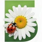 Минеральные удобрения