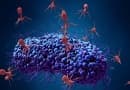 Опасные вирусы и микробы для человечества
