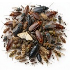 Средства от насекомых