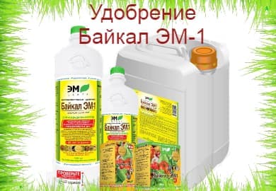 Органическое удобрение Байкал ЭМ-1 - надёжный помощник на даче и в саду