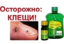 Прививка от клеща, как и где сделать в Архангельске