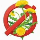 Средства от сорняков