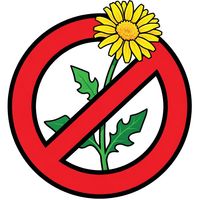 Гербициды, средства от сорняков. Правила и секреты.