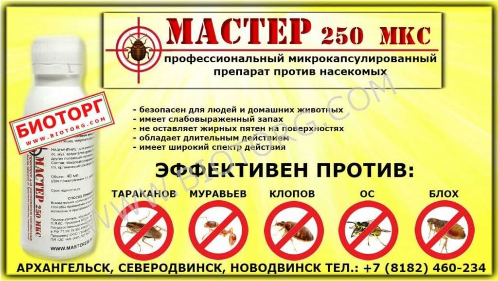 Мастер 250 от клопов и тараканов Архангельск Биоторг